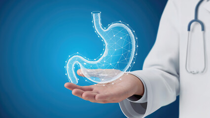 Cutting-edge medical visualization of the human stomach with doctor's hand