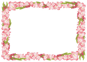 グラジオラスピンクフレーム