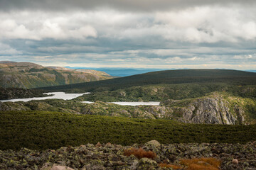 autumn landscape in the mountains