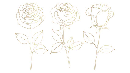 Golden Rose Outline Set Elegant Floral Design Elements for Invitations and Decorations