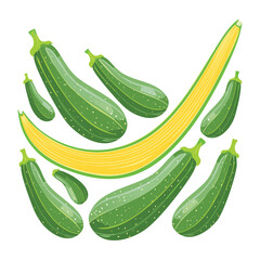 Zucchini Selection Checkmark Healthy Choice - Vector Illustration