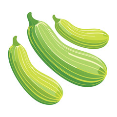 Fresh Green Zucchini Healthy Vegetable - Vector Illustration