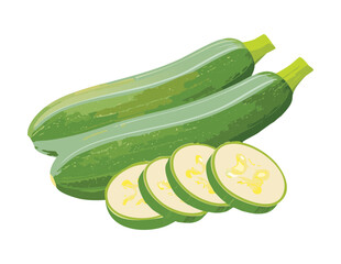 Group of Green Zucchini and Slices - Vector Illustration