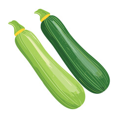Two Light Green Zucchini - Vector Illustration