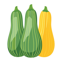Fresh Zucchini Green Vegetable Organic Produce - Vector Illustration
