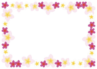 プルメリアピンクフレーム