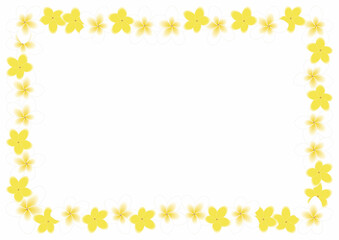 プルメリア白フレーム