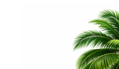 Bright green palm fronds isolated on white background. Perfect for tropical designs, summer themed projects, nature illustrations, and eco friendly concepts.