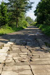 Cracked concrete slab road in countryside with patches of mud and puddles, surrounded by dense...