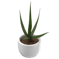 A green plant with long leaves in a white pot, showcasing a simple and modern design for indoor decor.