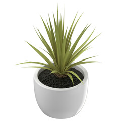 A green plant in a white pot, showcasing vibrant leaves and dark soil, ideal for indoor decoration or enhancing natural aesthetics.