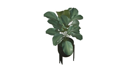 A decorative potted plant with lush green leaves, ideal for enhancing interior spaces and promoting a natural ambiance.