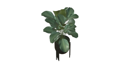 A decorative potted plant with lush green leaves, ideal for enhancing interior spaces and promoting a natural ambiance.