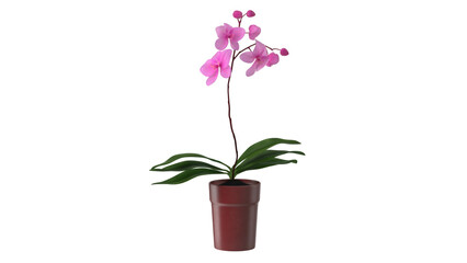 A vibrant pink orchid in a brown pot, showcasing its delicate flowers and lush green leaves, perfect for home decor.