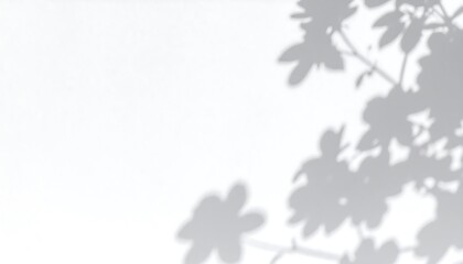 Soft flower shadows cast on plain white wall in natural light, clean minimal background
