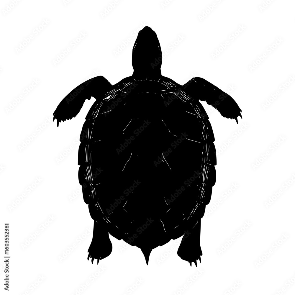 Poster turtle shell network diagram vector for tech infrastructure and cybersecurity analysis design