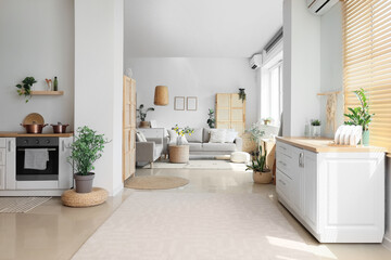 White counters with dishware,comfortable sofa and houseplants in interior of room