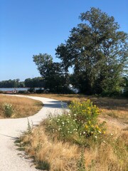 Winding Path in South Vancouver on a Bright Sunny Day River District
