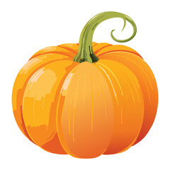 Healthy Fresh Organic Whole Pumpkin Gourd - Vector Illustration