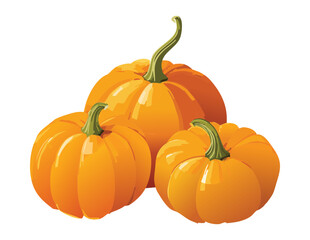 Assortment of Orange Pumpkins Freshly Harvested - Vector Illustration