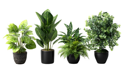 Flourishing indoor jungle, a collection of vibrant green plants thriving in cozy home