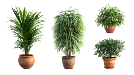 Flourishing indoor garden, a collection of potted plants creating vibrant green space