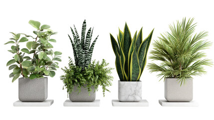 Obraz premium Urban oasis, concrete planters showcase a thriving collection of lush green plants