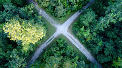 Aerial view of diverging forest paths at golden hour, symbolizing life choices and natural beauty.