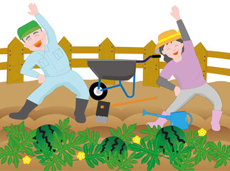 家族でスイカを栽培している農家