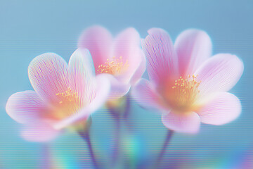 Fototapeta premium Dream Abstract Blurry Holographic Flower Posters,summer blossom flower iridescent background