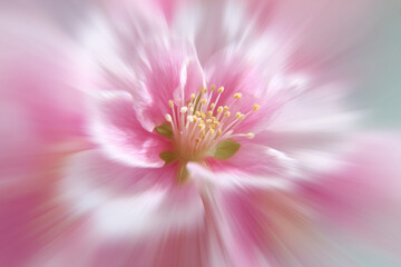 Obraz premium Dream Abstract Blurry Holographic Flower Posters,summer blossom flower iridescent background