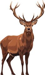 Fototapeta premium A digital illustration of a brown deer with large antlers standing on a white background facing forward