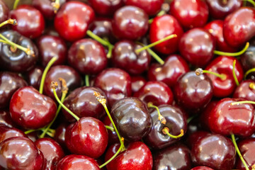 Fresh ripe cherries with stems closeup.