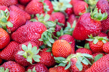 Fresh ripe strawberries closeup with green stems.
