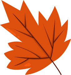 
Cartoon style maple leaf vector, for fall and Thanksgiving design elements