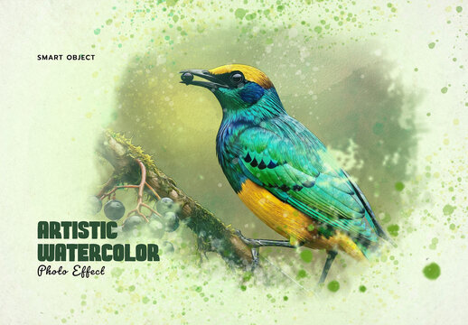 Artistic Paint Watercolor Photo Effect