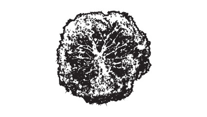 Detailed Top-Down Tree Illustration for Architectural Plans and Landscape Designs Vector