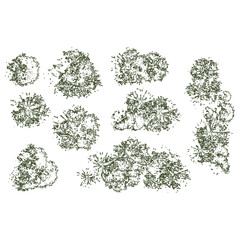 Overhead View of Trees and Bushes for Site Planning and Landscape Architecture Design © Sara Studio