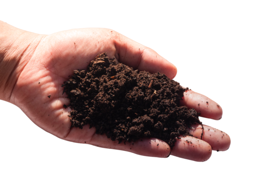 peat soil in hand isolated on white background