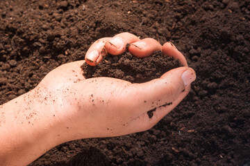 hands holding soil