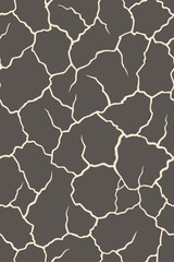 Fototapeta premium Cracked Earth Pattern texture