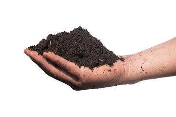 hand holding soil with transparent background