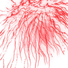 A vibrant red abstract background adorned with a heart shape and delicate floral patterns, perfect for holiday and celebration designs