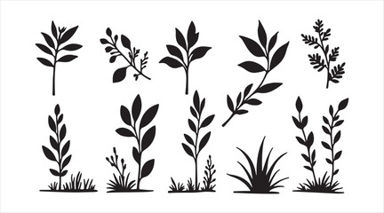 Naklejka premium A collection of silhouettes featuring natural design elements 