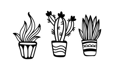 Doodle Botanical Floral Vector on Black Colour