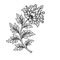 Black and White Floral Illustration with Leaves and Buds