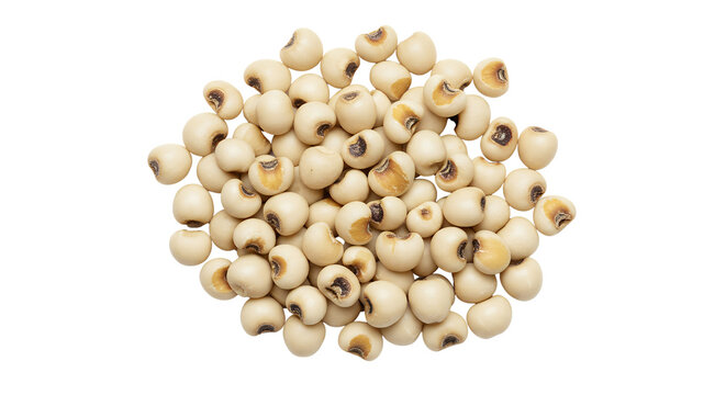 A small pile of dry, unprocessed Job's Tears (Coix lacryma-jobi) grains, also known as Adlai, white background isolated
