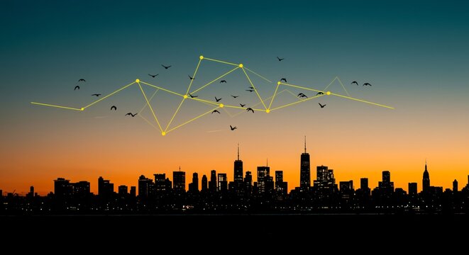Birds Flying over City Skyline at Sunset with Abstract Network Lines