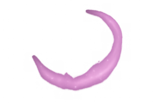 Pink crescent shape effect with sparkling particles, ideal for creative projects on transparent background - Powered by Adobe