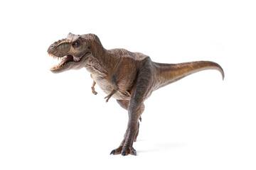 Fototapeta premium Tyrannosaurus rex dinosaurs toy isolated